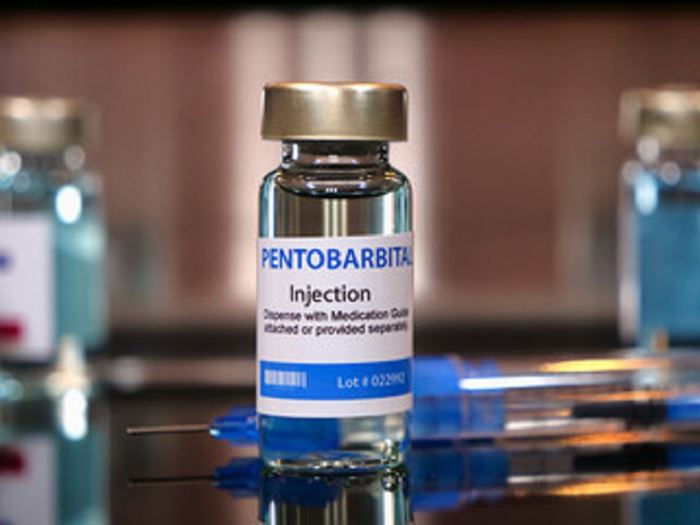 Pentobarbital for Dogs and Cats | Pentobarbital Injektion - Barbiturat natrium pentobarbital kaufen