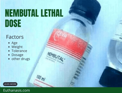 A compassionate medical professional providing guidance on the use of Nembutal lethal dose in end-of-life decisions