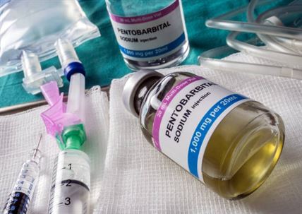 precio de pentobarbital para uso veterinario en españa