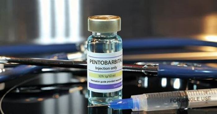 Pentobarbital bijwerkingen bij katten | een duidelijke blik op bijwerkingen en gebruik 🐱💊 pentobarbital dosering kleine huisdieren