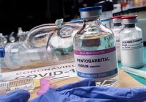 Pentobarbital bijwerkingen bij katten | een duidelijke blik op bijwerkingen en gebruik 🐱💊 pentobarbital euthanasie protocol nederland