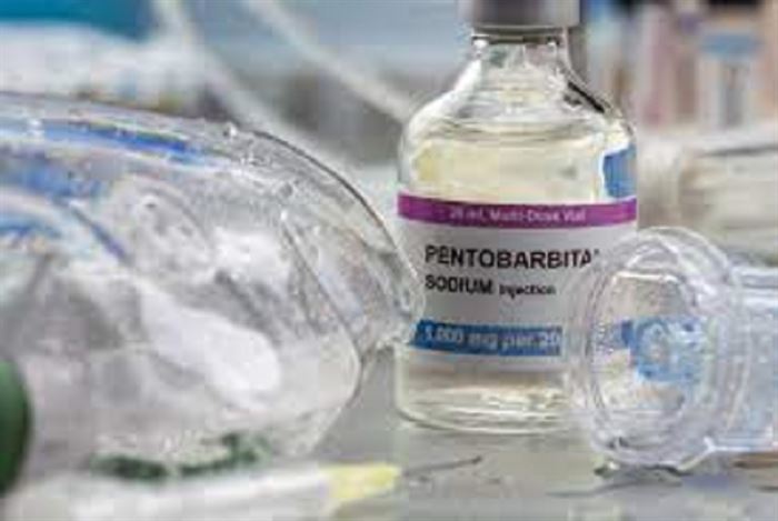 Pentobarbital to Lek z Grupy Barbituranów