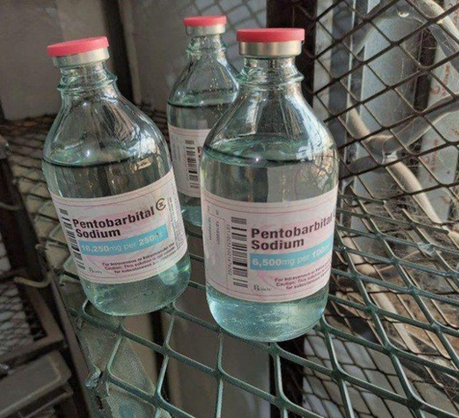 jak zdobyć pentobarbital sodu