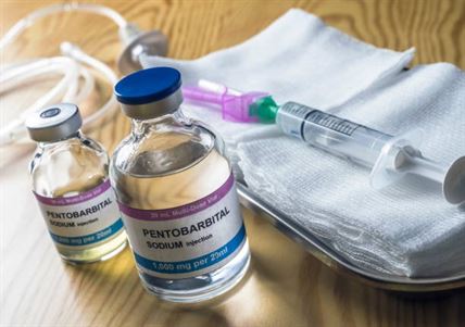 Buy Sodium Pentobarbital Online 1