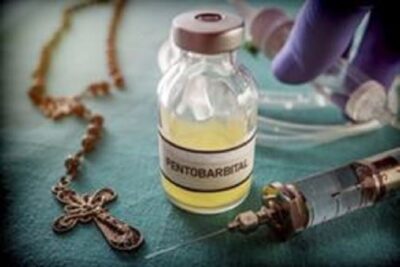 what does pentobarbital do to the brain