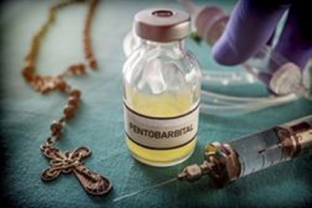 what does pentobarbital do to the brain