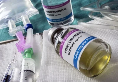 sodyum pentobarbital satın alın